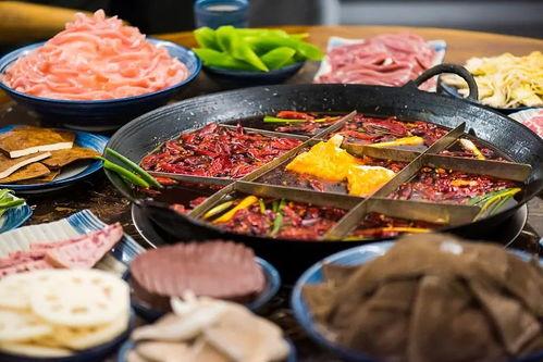 娱乐吃瓜小火锅小说,娱乐圈的麻辣盛宴