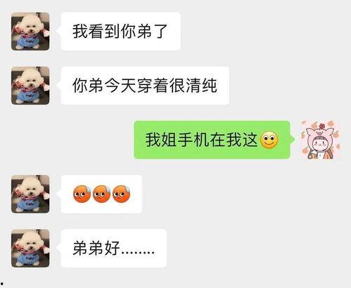 吃瓜娱乐哈哈哈,笑谈娱乐圈风云变幻